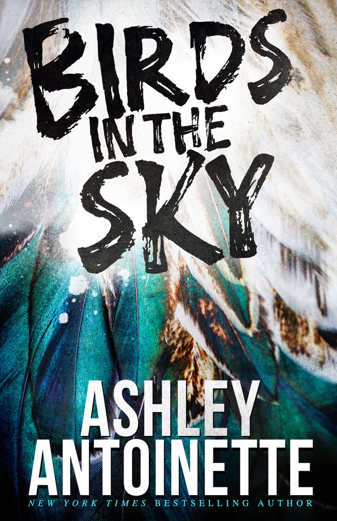 BIRDS IN THE SKY